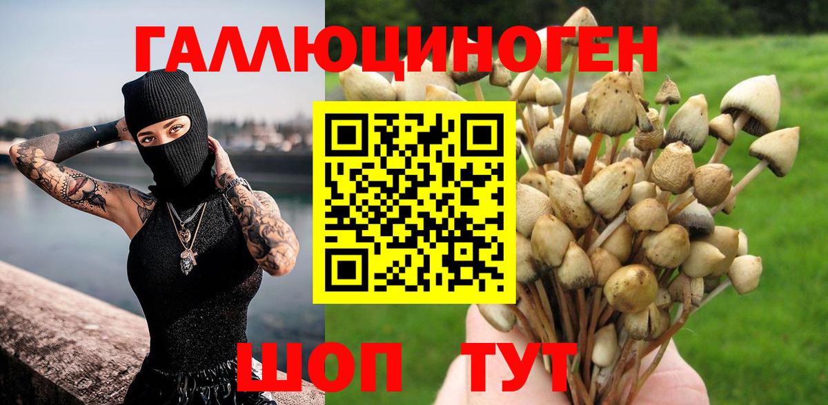 Псилоцибиновые грибы Psilocybine cubensis  Псилоцибиновые грибы мицелий  Тула  Вход с VPN 