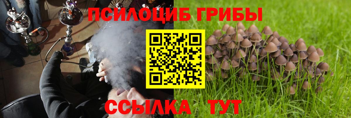 Псилоцибиновые грибы прущие грибы Тула